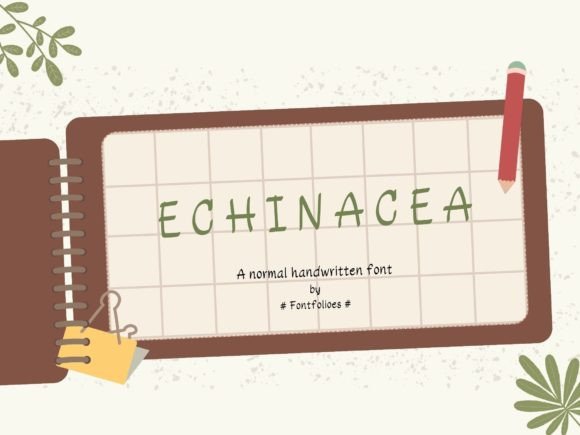 Echinacea Font: A Whimsical Display Typeface for Digital Branding