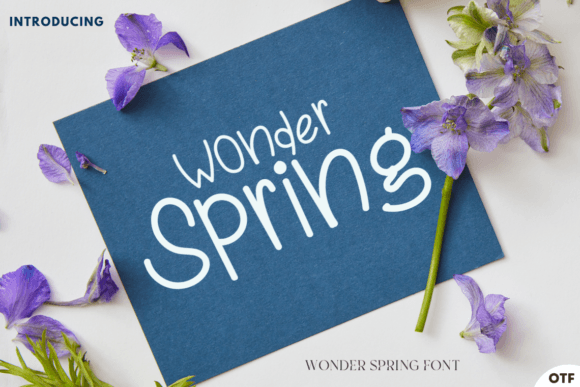 Wonder Spring: A Designer’s Real-World Review